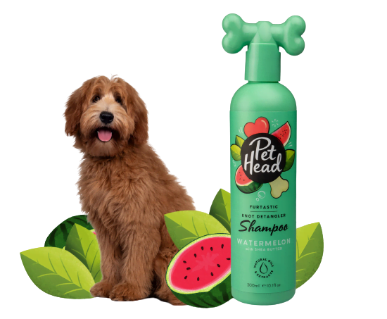 Shampoo para cachorro com fragrância de melancia