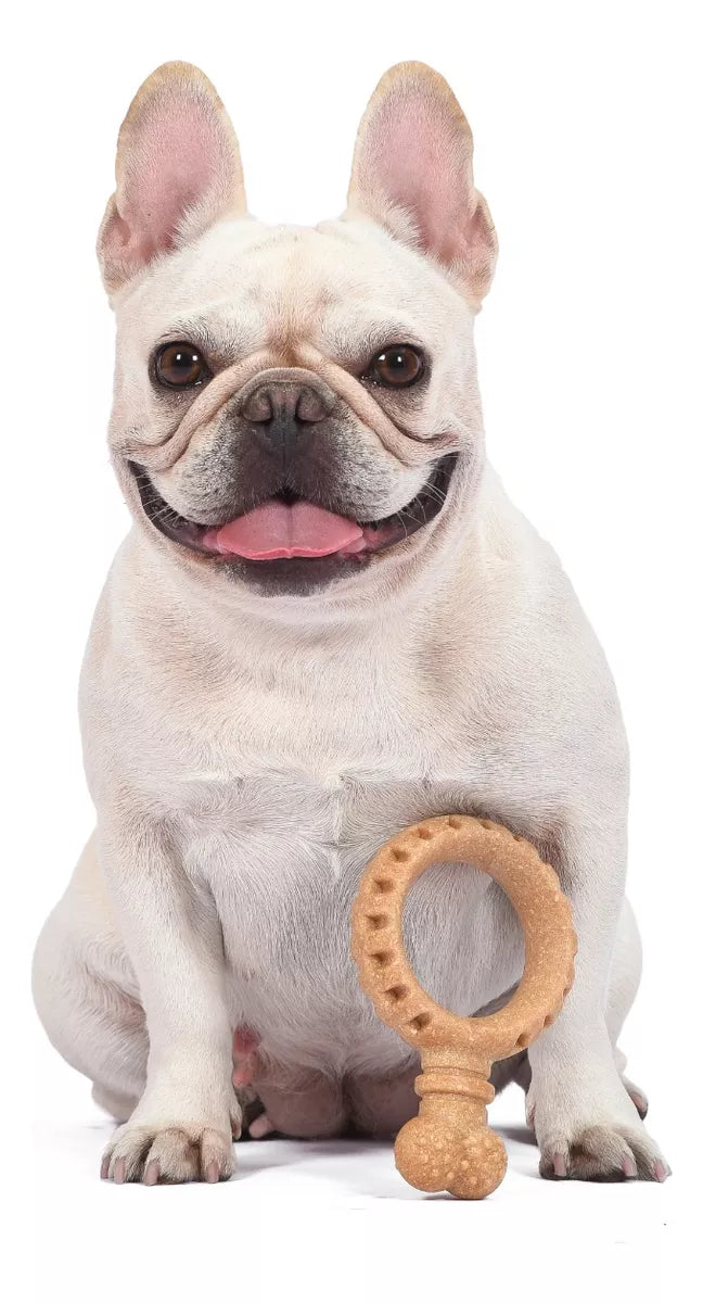 Brinquedo De Roer Ring Ring Arm & Hammer Cães Até 15kg