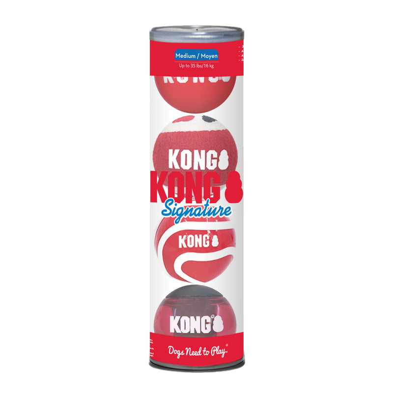 Kong Signature Kit 4 Bolas para Cachorro