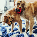 Anel Mordedor Kong Ring Para Cães - New York Pets
