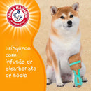 Arm & Hammer Dental - Mordedor Formato Pincel Para Cachorro - New York Pets