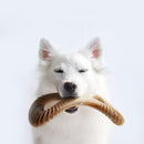 Benebone Dental Chew Bacon - New York Pets