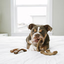 Benebone Puppy 2 - Pack Bacon para Filhote - New York Pets