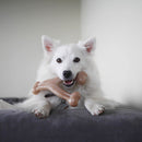 Benebone Wishbone Bacon - New York Pets