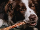 Bexiga Bovina Stick Natuka Mordedor Natural - New York Pets