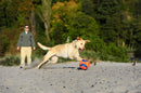 Bola Chuckit! Kick Fetch Grande Para Cachorro - New York Pets