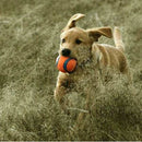 Bola Chuckit! Ultra Ball - 2 Unidades - P - New York Pets