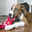 Bola com corda para Cães Kong W/Rope - Pequeno - New York Pets