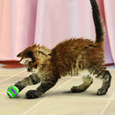 Bola De Tênis Kong Kit de 3 com Sininho para Gato - New York Pets