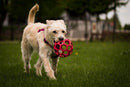 Bola interativa para cachorro JW Holee Roller - New York Pets