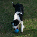 Bola JW Crackle Ball com Garrafa Pet - New York Pets