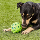Bola JW Crackle Ball com Garrafa Pet - New York Pets