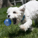 Bola Kong Geodz 2 - Pack Grande Cores Sortidas - New York Pets