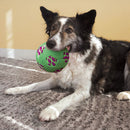 Bola para Cachorro Kong Sneakerz Sport Soccer - New York Pets
