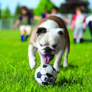 Bola para cachorro Kong Sport Balls - 3 Unidades - New York Pets