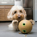 Bola Recheavel Kong Bamboo Feeder - New York Pets