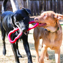 Brinquedo Cabo de Guerra Kong Tug Toy - New York Pets
