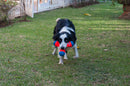 Brinquedo Chuckit TriBumper Medio Para Cães - New York Pets