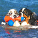 Brinquedo Chuckit TriBumper Medio Para Cães - New York Pets