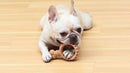 Brinquedo De Roer Ring Ring Arm & Hammer Cães Até 15kg - New York Pets