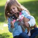 Brinquedo Interativo cachorro Kong Puppy para filhotes - New York Pets