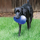 Brinquedo Kong Bounzer Ultra para Cães - New York Pets