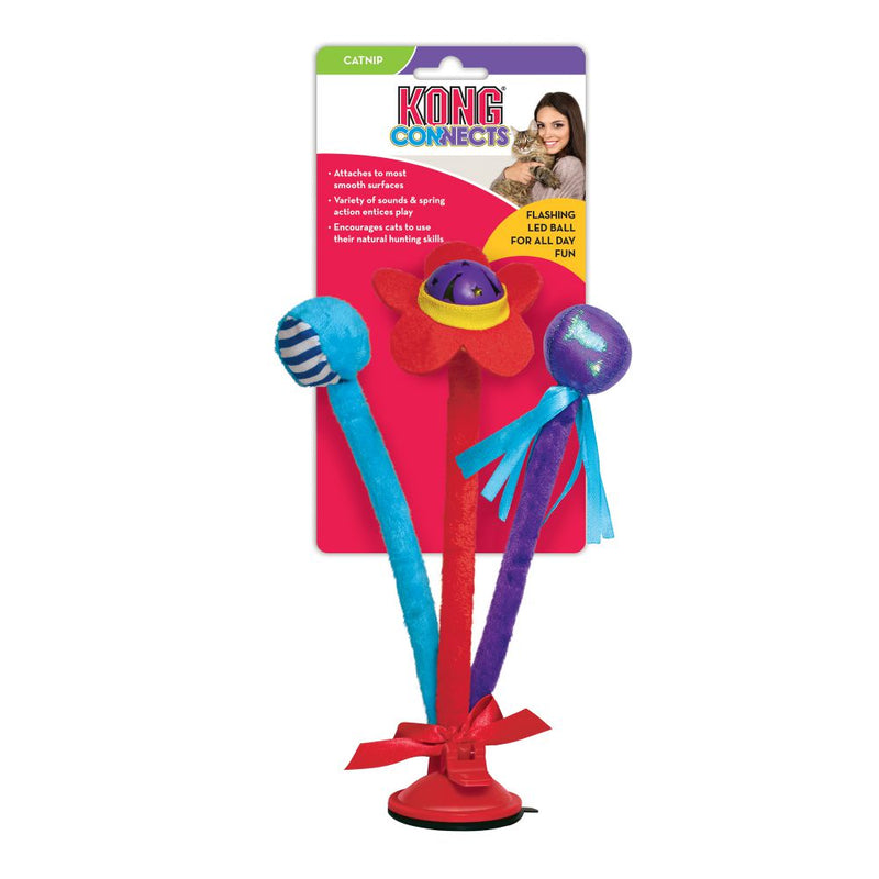 Brinquedo kong connects bat n spring para gato - New York Pets