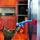 Brinquedo kong connects bat n spring para gato - New York Pets