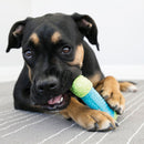 Brinquedo Kong Core Strength Bone - New York Pets