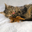 Brinquedo kong crinkle ball w/ feathers 2pk p/ gatos - New York Pets