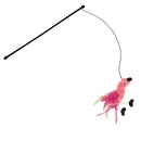 Brinquedo kong feather teaser p/ gatos - New York Pets