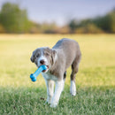 Brinquedo Kong Goodie Bone Puppy Pequeno - New York Pets
