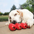 Brinquedo Kong Goodie Ribbon - New York Pets