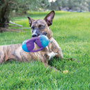 Brinquedo Kong Jumbler Tri - New York Pets