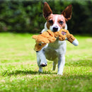 Brinquedo KONG Knots Raposa Com Apito para Cães - New York Pets