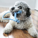 Brinquedo kong para filhotes goodie bone w/rope x - small - New York Pets
