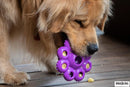 Brinquedo Kong Quest Star Pods Recheável - New York Pets