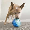 Brinquedo Kong Rewards Ball - New York Pets
