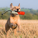 Brinquedo Kong Wild Shieldz Training Dummy para Cachorro - New York Pets