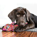 Brinquedo Kong Wubba Finz Rosa Grande - New York Pets