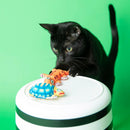 Brinquedo Lagartixa Fatcat Crackler Para Gatos com Catnip - New York Pets