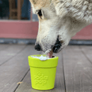 Brinquedo Mordedor Recheável Flower Pot Sodapup Para Cachorro - New York Pets