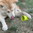 Brinquedo Mordedor Recheável Flower Pot Sodapup Para Cachorro - New York Pets