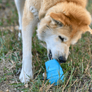 Brinquedo Mordedor Recheável Ice Cream Sodapup Para Cachorro - New York Pets