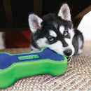 Brinquedo para Cachorro Kong Eon Osso com Apito - New York Pets
