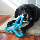 Brinquedo para Cachorro Kong Flyangle - New York Pets