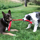 Brinquedo para Cachorro Kong Signature Crunch Rope - New York Pets