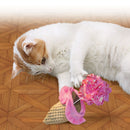 Brinquedo Para Gato Sorvete Com Som Crocante Kong - New York Pets
