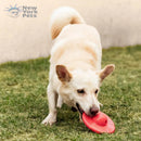 Brinquedo Recheável Disco Flutuante Focao Xplore Germanhart para cachorro - New York Pets