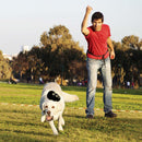 Brinquedo Recheável Kong Extreme para Cachorros - New York Pets